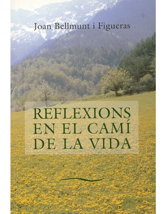 Reflexions en el camí de la vida I