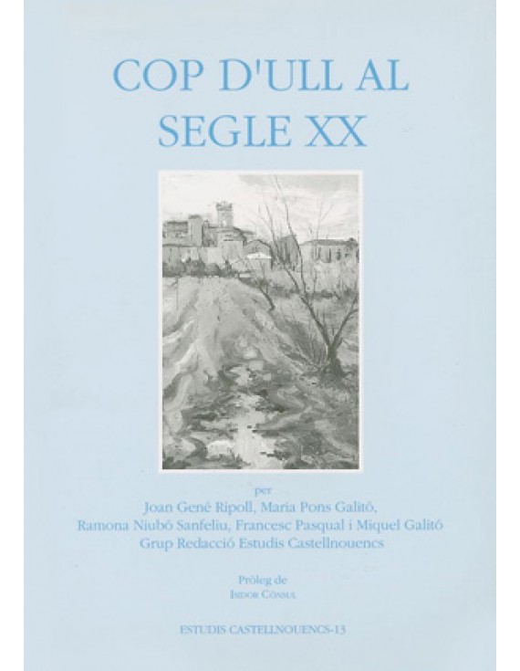 Cop d'ull al segle XX