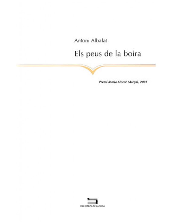 Els peus de la boira