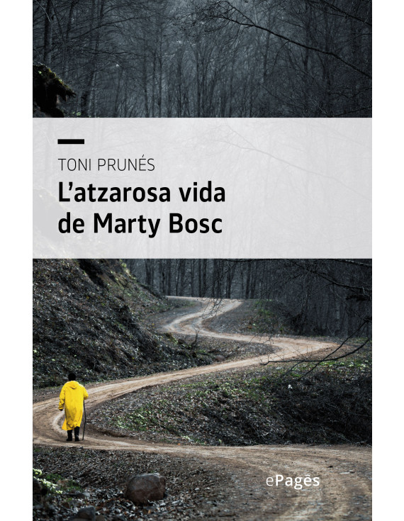 L'atzarosa vida de Marty Bosch (epub)