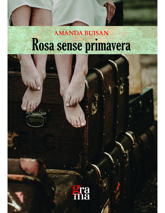 Rosa sense primavera