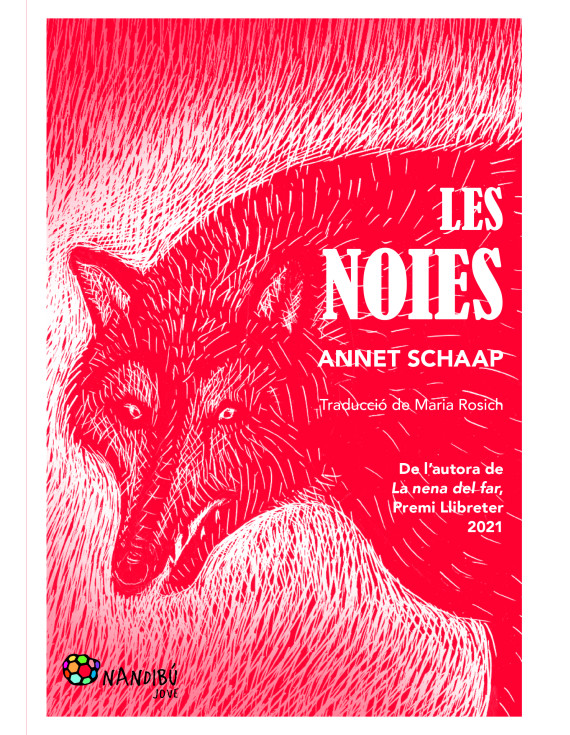 Guia didàctica Les noies (PDF)