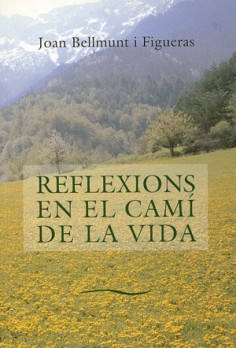 Reflexions en el camí de la vida I