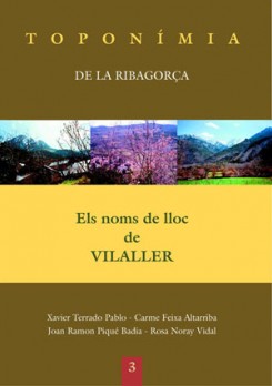 Els noms de lloc de Vilaller