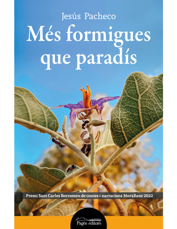 Més formigues que paradís